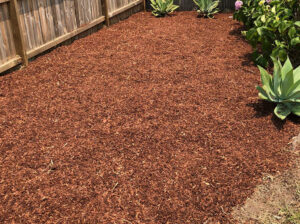 Garden Services in Parramatta