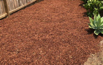 Garden Services in Parramatta