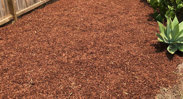 Garden Services in Parramatta