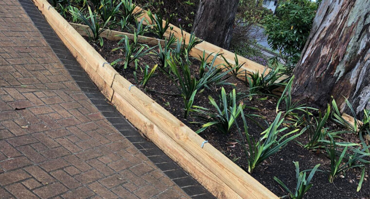 Garden Services in Parramatta