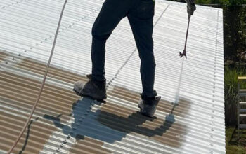 Roof Painting in Centenary Heights