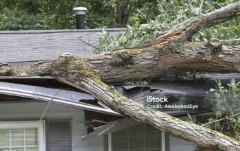 Storm Damage Restoration in Perth