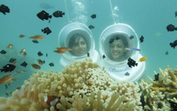 Scuba diving in Andaman