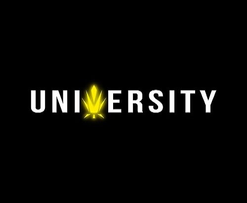 Live Resin Diamonds and Concentrates at Trap Unive