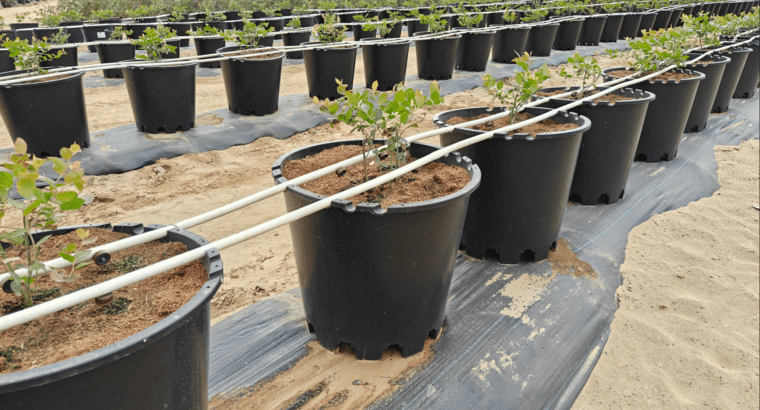 Wholesale 35 Liter Round Pots