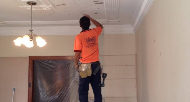 Plastering Newcastle