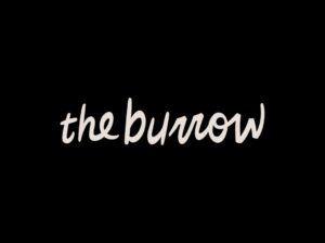 The Burrow