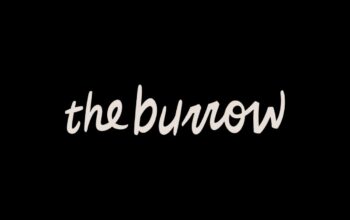 The Burrow