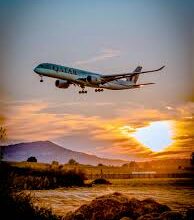 Book Flights Online with Flighta