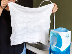 New Wave Cleaning Solutions – Compressed Towel Tab