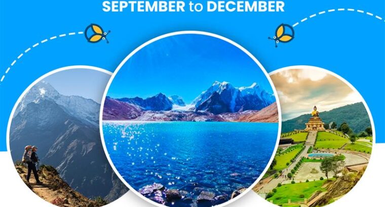 Book the Best Offbeat Homestays | Travelpoka