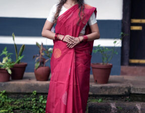 Are borderless silk sarees suitable for formal eve