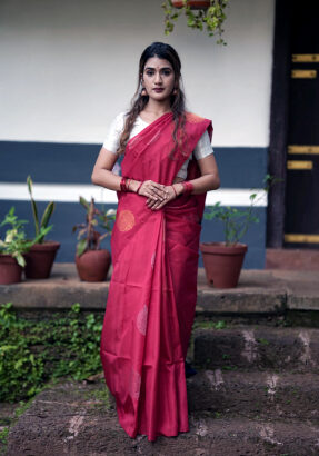 Are borderless silk sarees suitable for formal eve