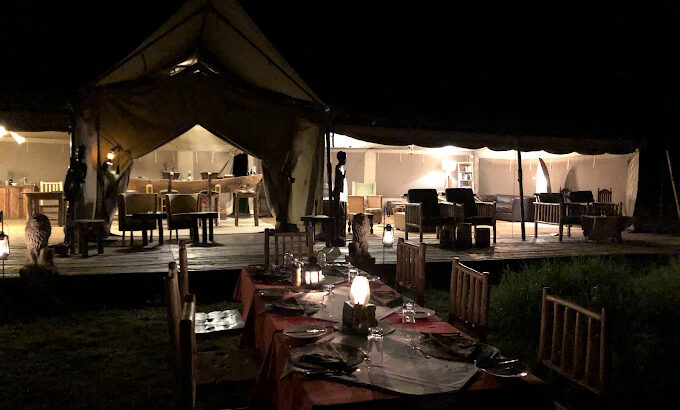 Asanja Africa Open hearts and wild spirits