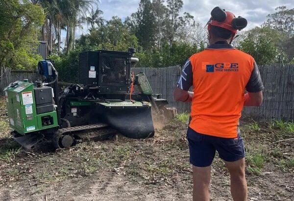 A Helpful Guide to Safe and Stress-Free TreeRemovl