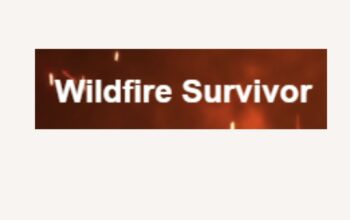 Wildfire Survival