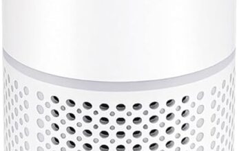 Best Air Purifier for Office India