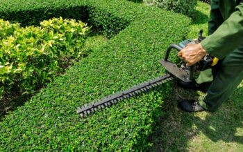 Hedging Services in Brisbane
