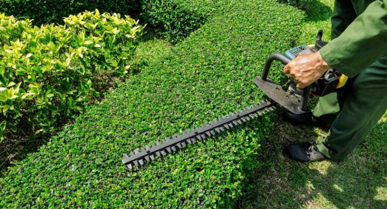 Hedging Services in Brisbane