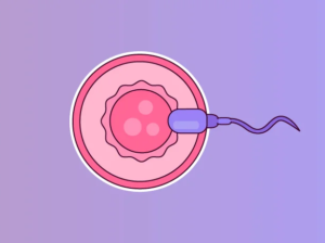 Meet the Experts – Best Fertility Doctors