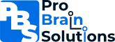 Pro Brain Solutions – WordPress Custom Development