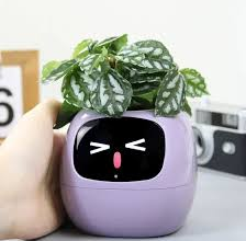 Enhance Your Interior with a Modern Ivy Plant Pot