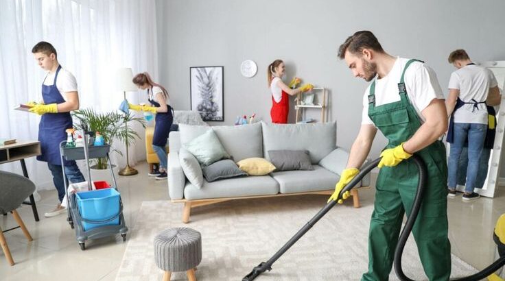 Deep Cleaning Professional