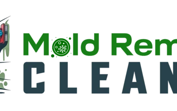 Mold Removal Cleaner