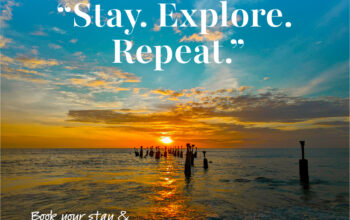 Oshin Hotel – Your Trusted Choice for Hotels