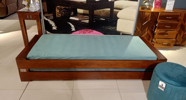 Diwan Beds – Multi-Use Furniture for Smart Homes