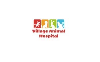 Village Animal Hospital