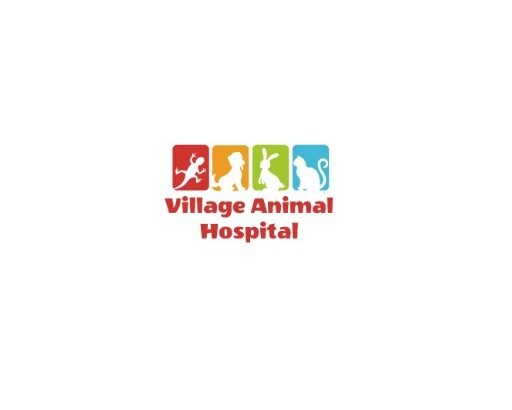 Village Animal Hospital