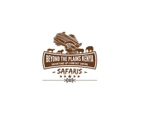 professional House Karen C Nairobi