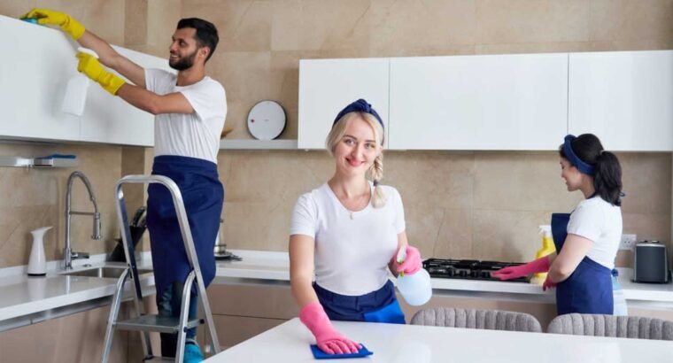 Maid Service Irving