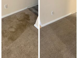 I V Lee Carpet Cleaning
