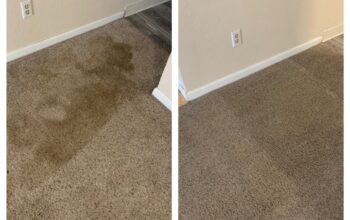I V Lee Carpet Cleaning