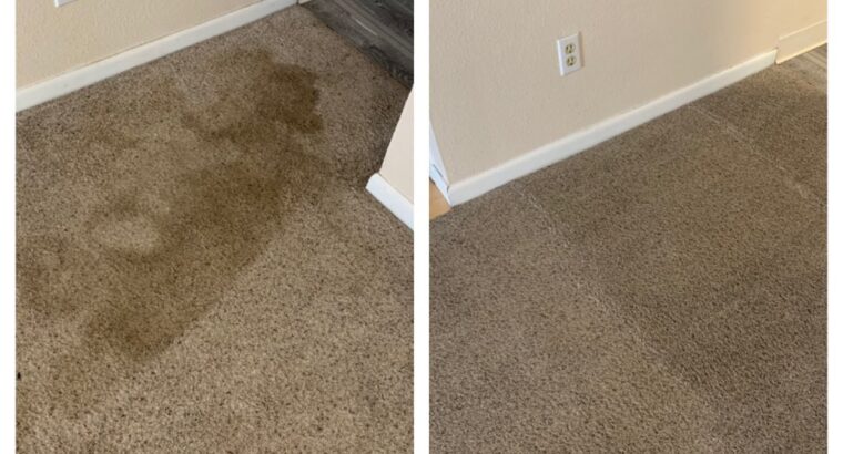 I V Lee Carpet Cleaning